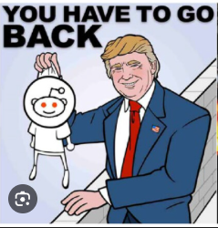 MEME101 — Specimen 3